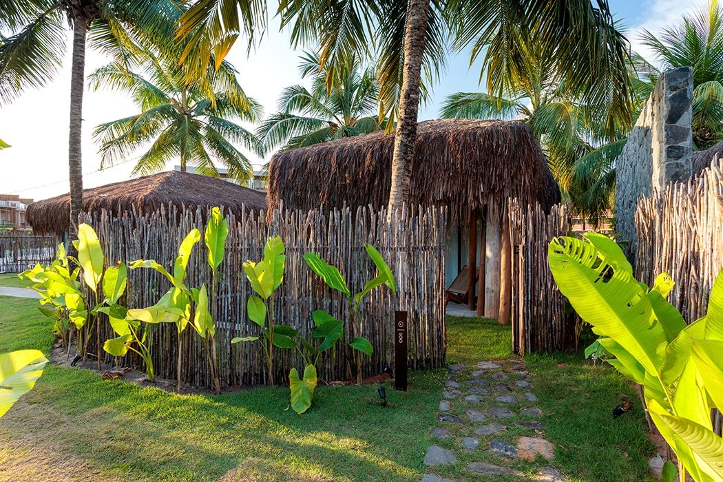 Imagem sem descrição